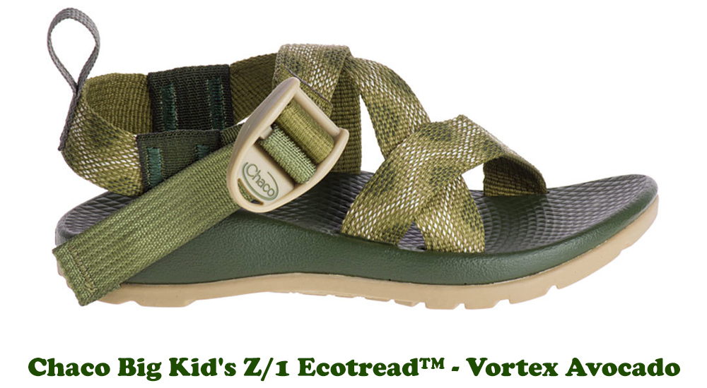 Shop the Kid's Chaco Z/1 Ecotread at ShoeStores.com