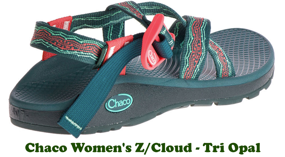 Shop the Chaco Women's Z/Cloud Sandal